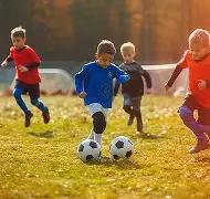 强化体育教,学品质,铸就体育强,B体育平台,B体育官方网站,B体育登录入口,B体育app下载