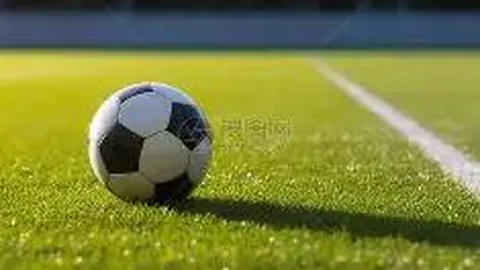 B体育 产品 085600 rkk