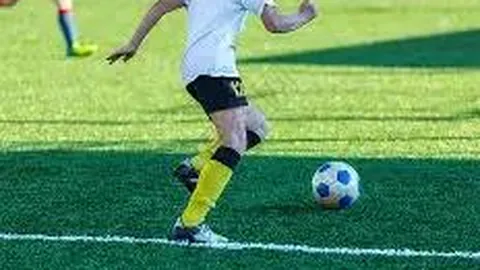 B体育 产品 085620 dwv