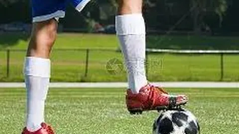 B体育 资讯 085438 xv3