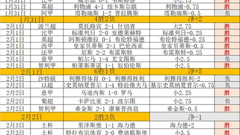 B体育 资讯 202237 bfo